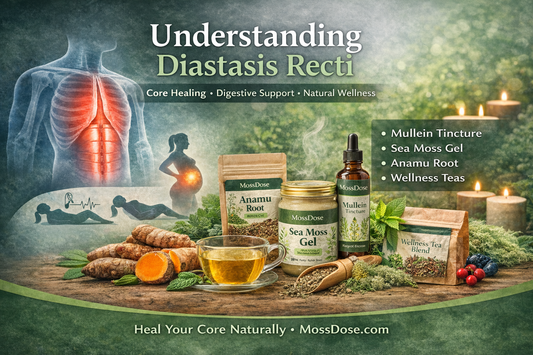 Understanding Diastasis Recti: What It Is, Why It Happens, and How to Heal Naturally